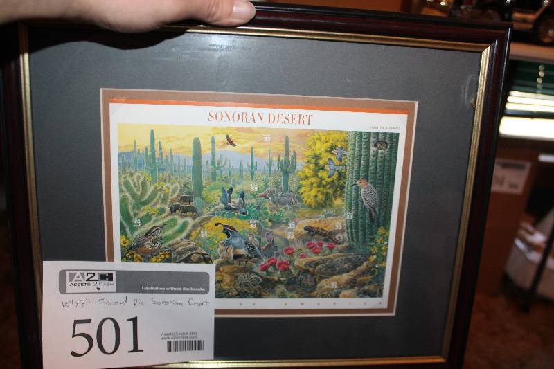 lot 501 image: Sonoran Desert Framed Wall Art