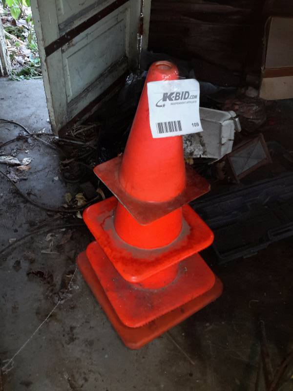 lot 109 image: 4, fluorescent cones