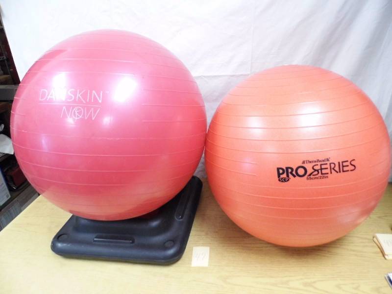 2 Fittness Balls w One Holder