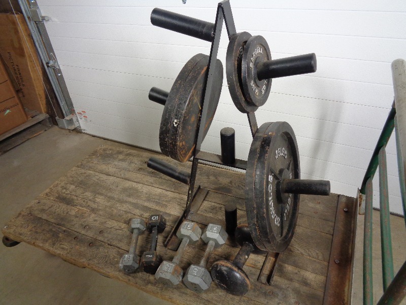 lot 107 image: Assorted Weights, Rack
