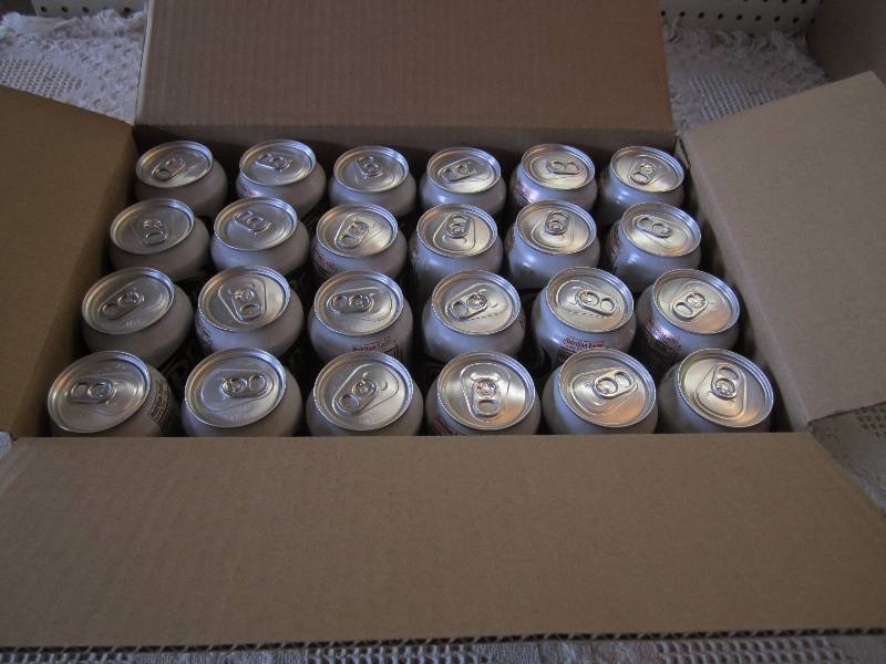 lot 177 image: Box of 24 Cans Diet Dr Pepper Past ...