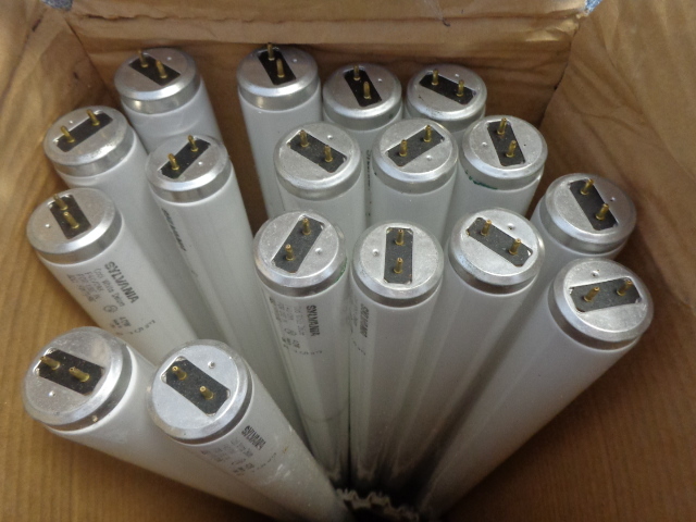 lot 19 image: Sylvania Fluorescent Bulbs