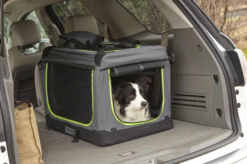 SOFT SIDED PET CARRIER