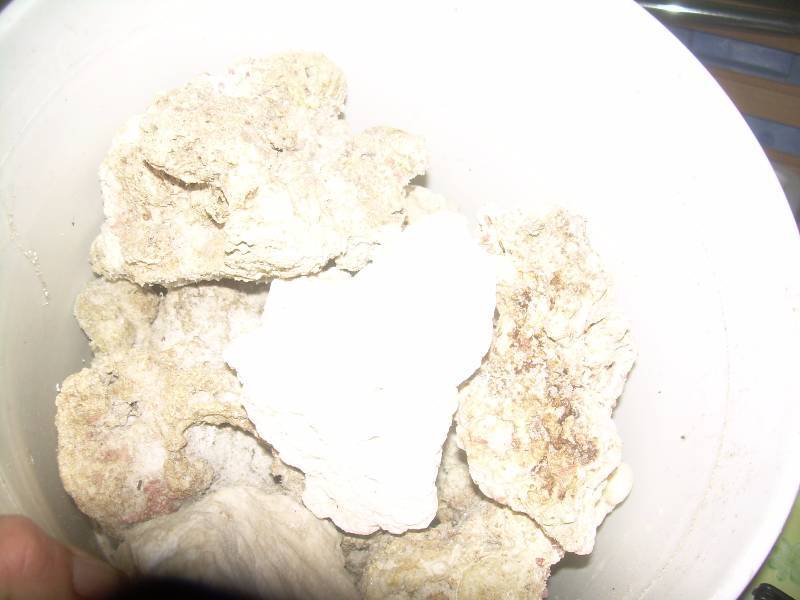 PAIL OF LG CORRAL ROCK