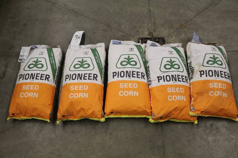lot 25 image: Pioneer Seed Corn