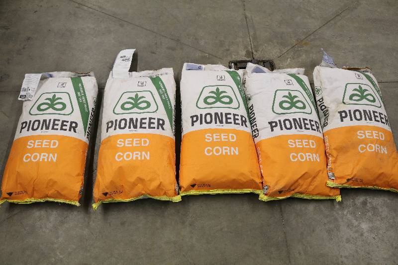lot 28 image: Pioneer Seed Corn