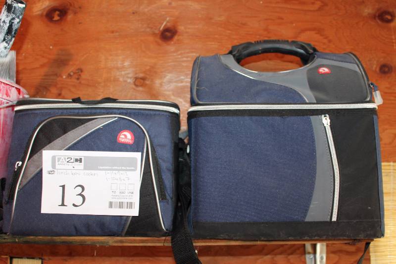 lot 13 image: Igloo Personal Coolers