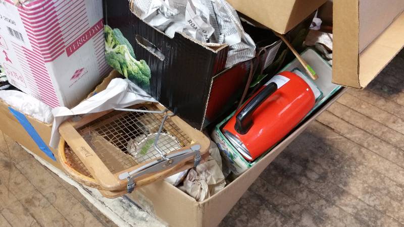 Large Mystery Lot