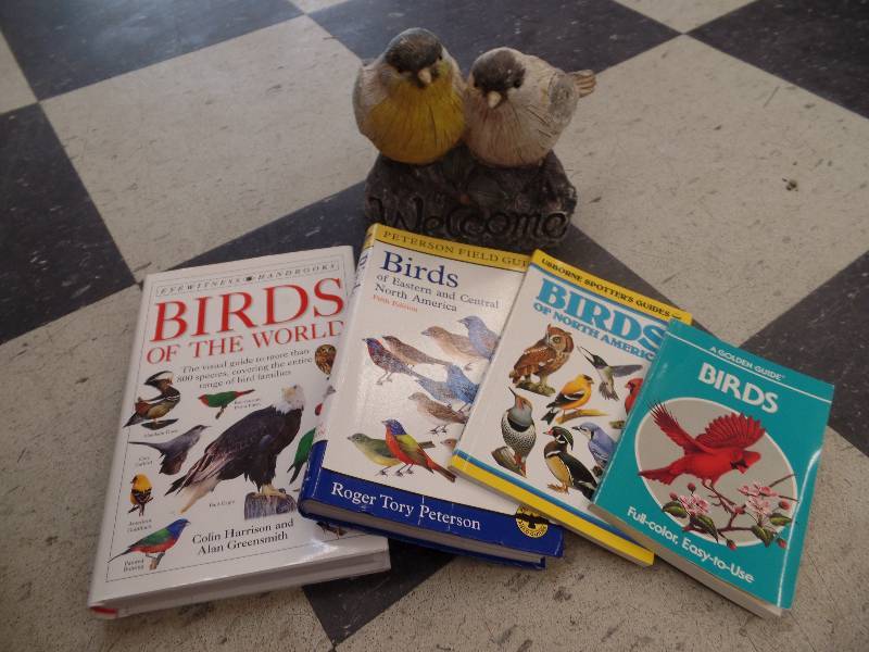 4-Bird Books and Bird Welcome Statue