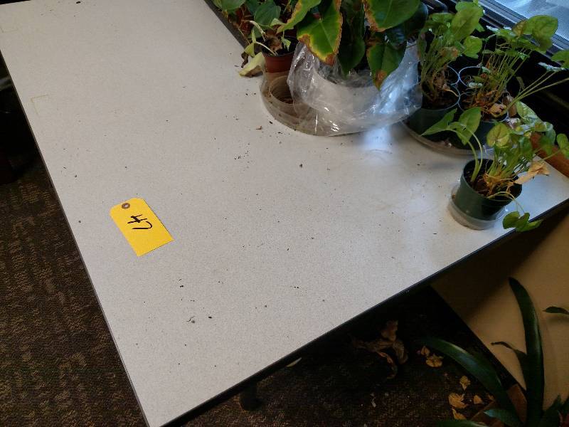 lot 47 image: Table, 4x3, Contents Not Included...