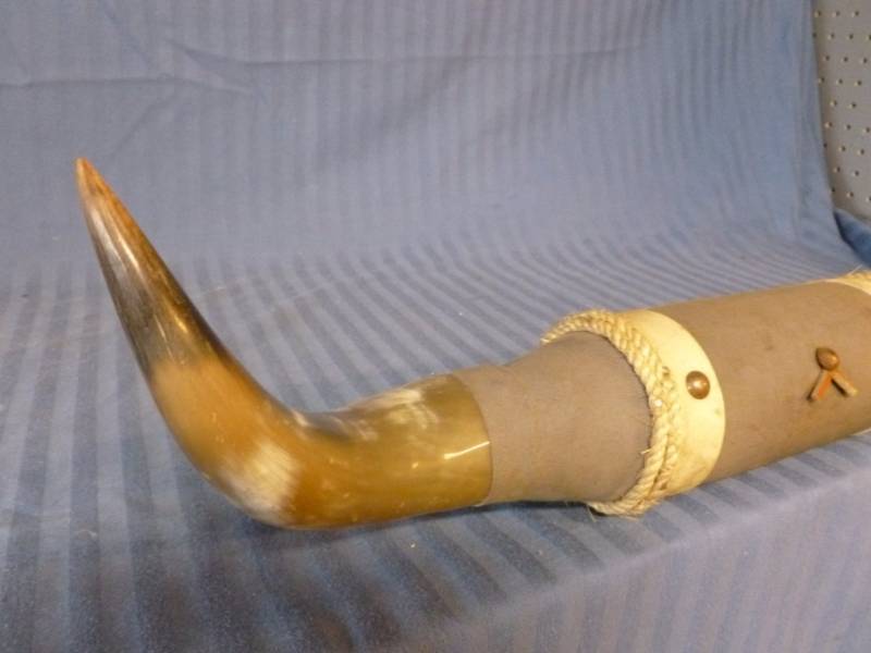 lot 168 image: Bull Horns