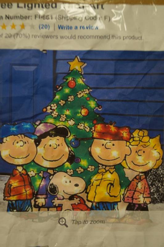 Peanuts Gang Christmas Yard Decor Set