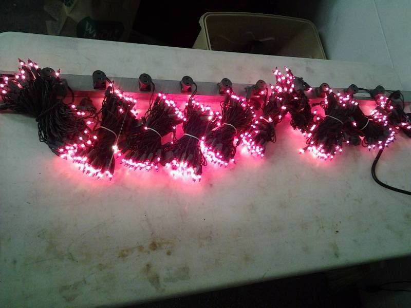 10-Bundles Of 50 Red Mini Lights