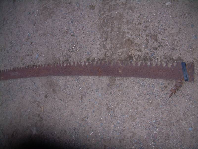 ANTIQUE SAW BLADE