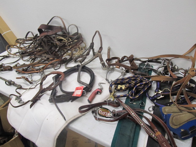 lot 142 image: Antique Trunk wLARGE Lot of Horse Tack - Bits, Harnesses, Reins etc