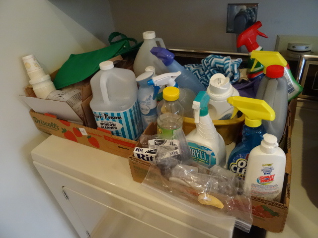 lot 45 image: Misc Cleaning Supplies