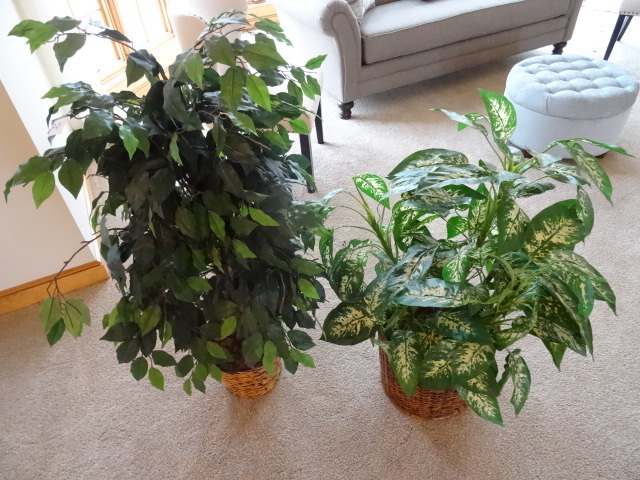 lot 80 image: 2 Artificial Trees 48 & 36