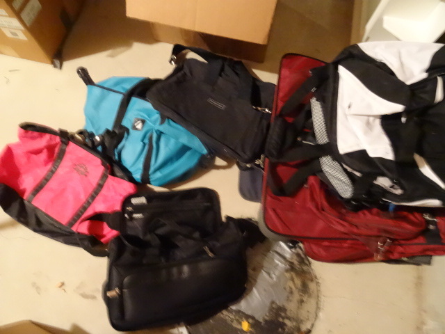 lot 138 image: Misc Duffle Travel Bags