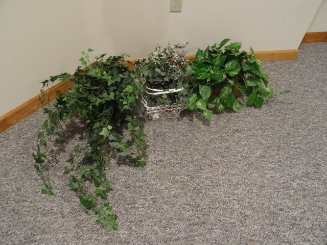 lot 176 image: Lot Of Plants WBasket
