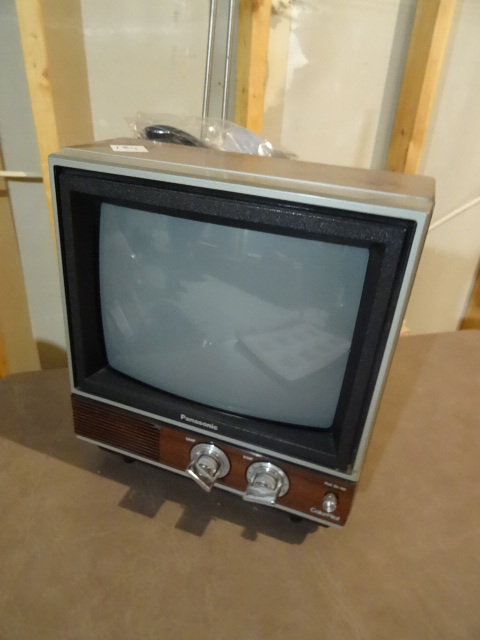 lot 184 image: TV Panasonic Portable Cooler
