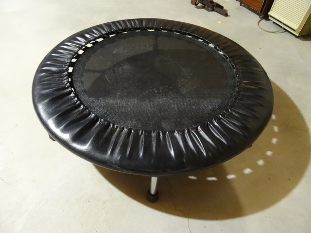 lot 192 image: 38 Mini Trampoline