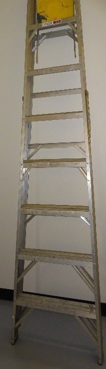 Werner Ladder