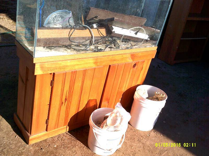 LG FISH TANK WITH ACCESARIES