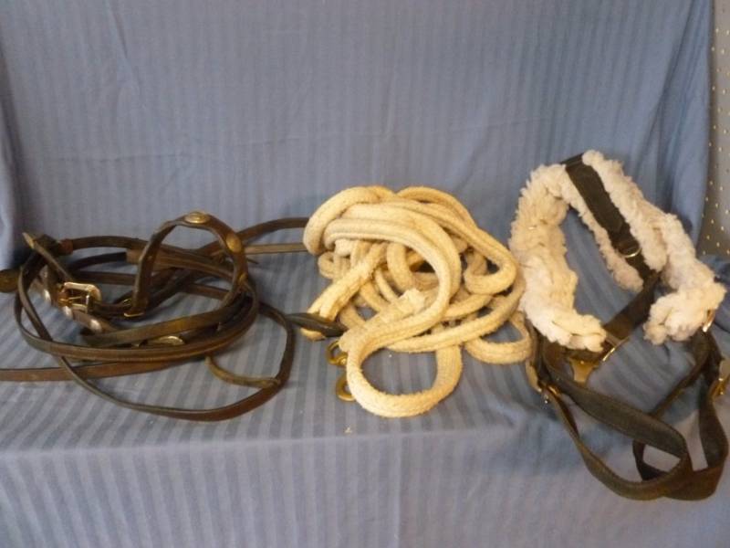 lot 175 image: Horse Equipment