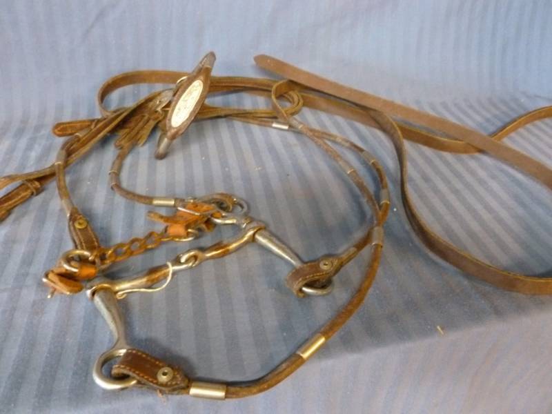 lot 176 image: Horse Equipment
