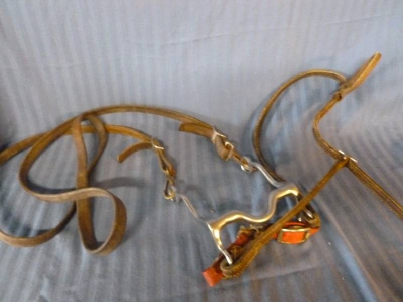 lot 178 image: Horse Equipment