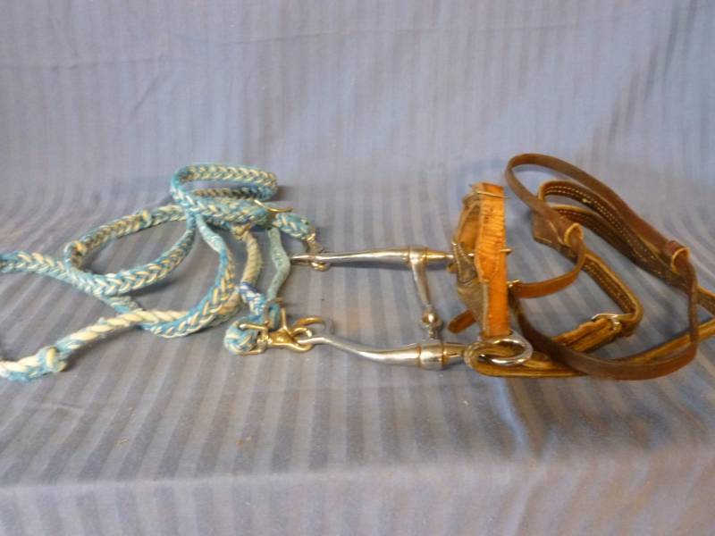 lot 183 image: Horse Equipment