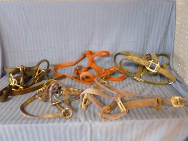 lot 188 image: Horse Equipment