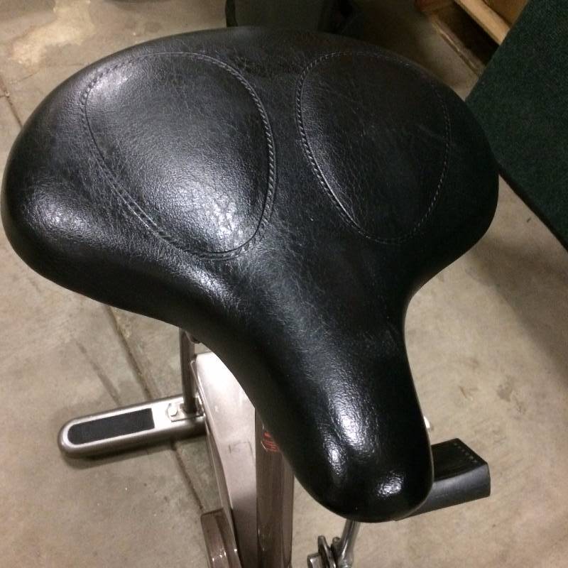 lot 17 image: Schwinn Airdyne - Excellent Working Condition