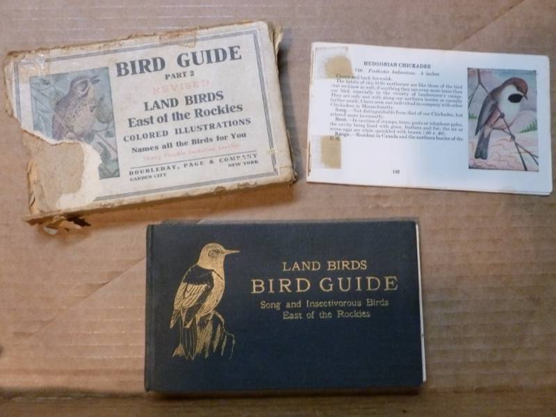 Antique Bird Guide Booklet