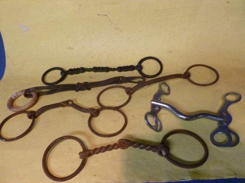 Horse Equipment