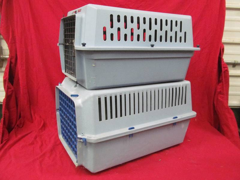 lot 278 image: pet taxis