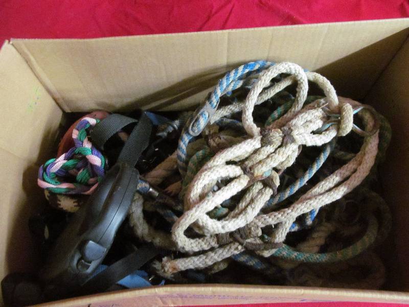 lot 196 image: lead ropes