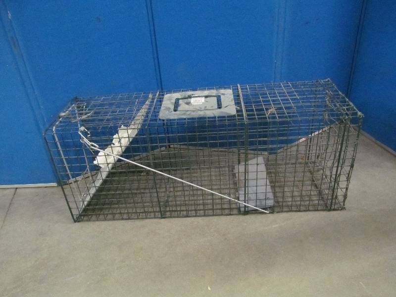 lot 223 image: live trap