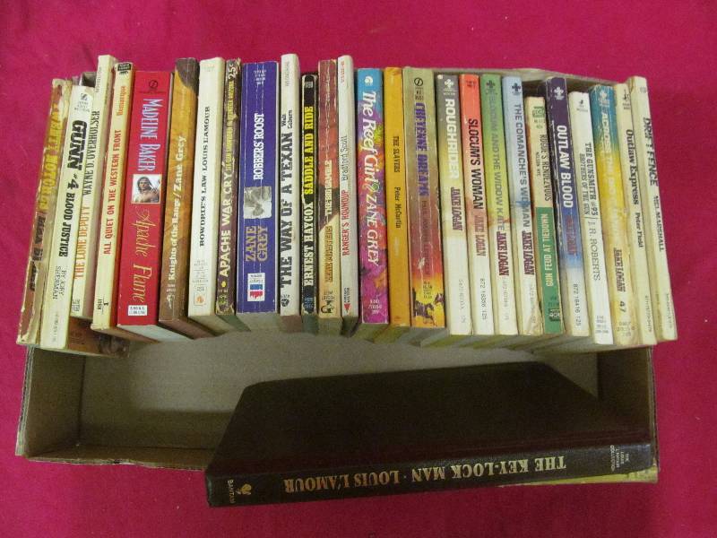 lot 344 image: western books