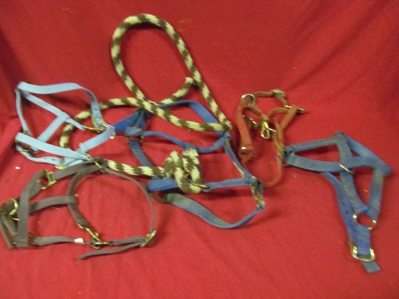 lot 373 image: halters