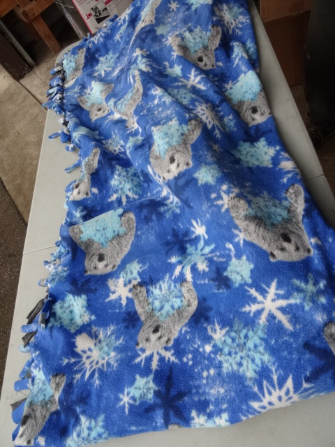 Homemade  Polar Bear Blanket