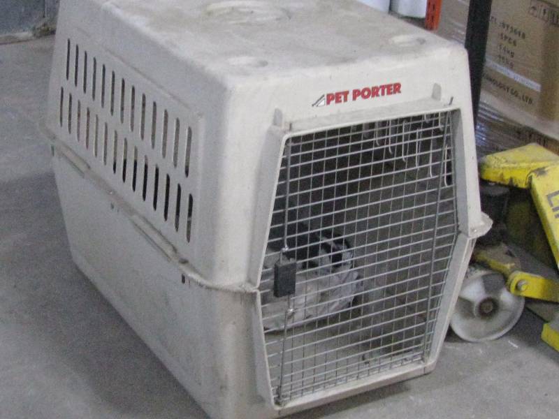 Pet Porter