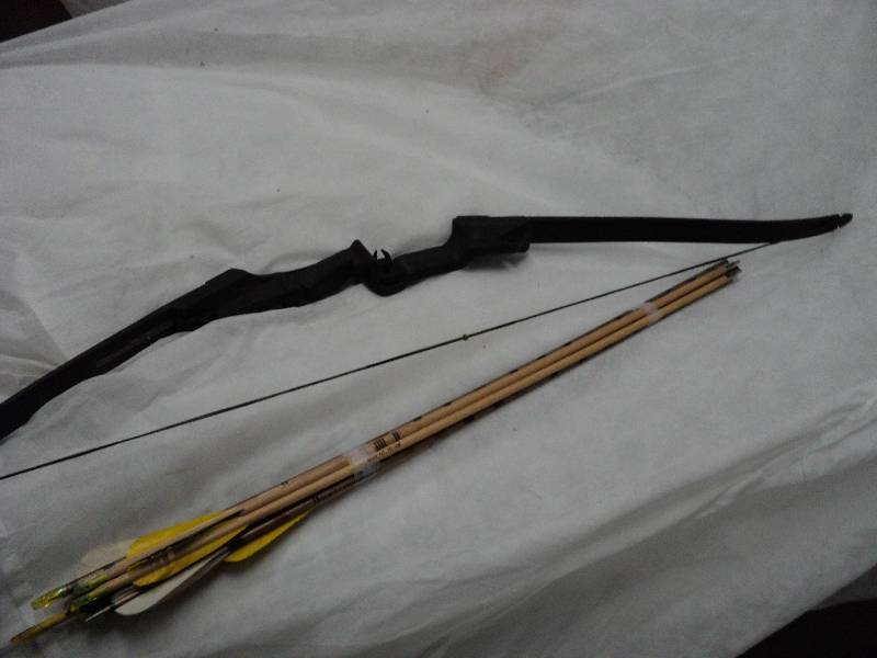 lot 8 image: little brave starter bow and 9 arro...