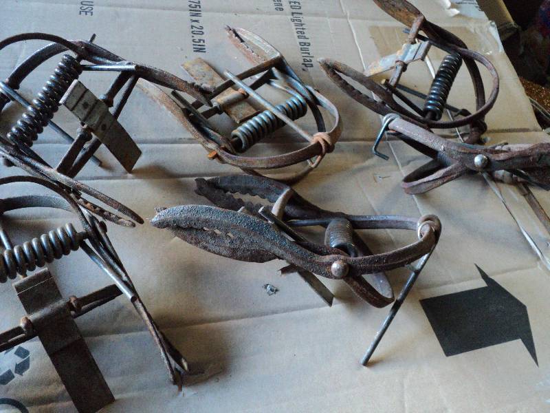 lot 70 image: 6 traps...
