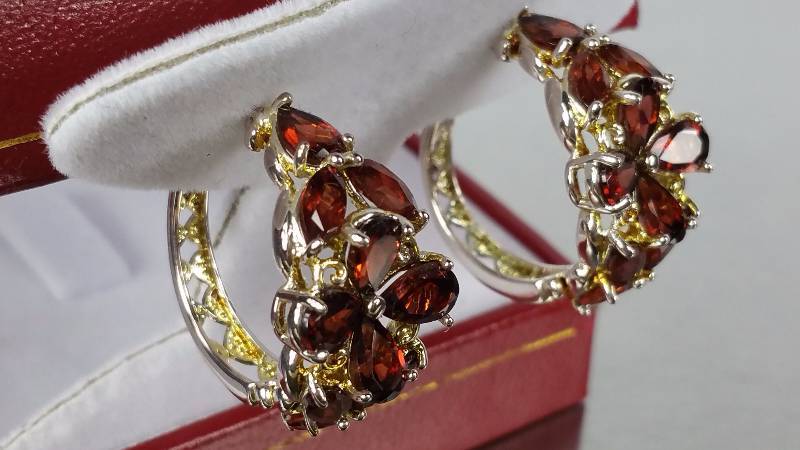 lot 50E image: Garnet Earrings