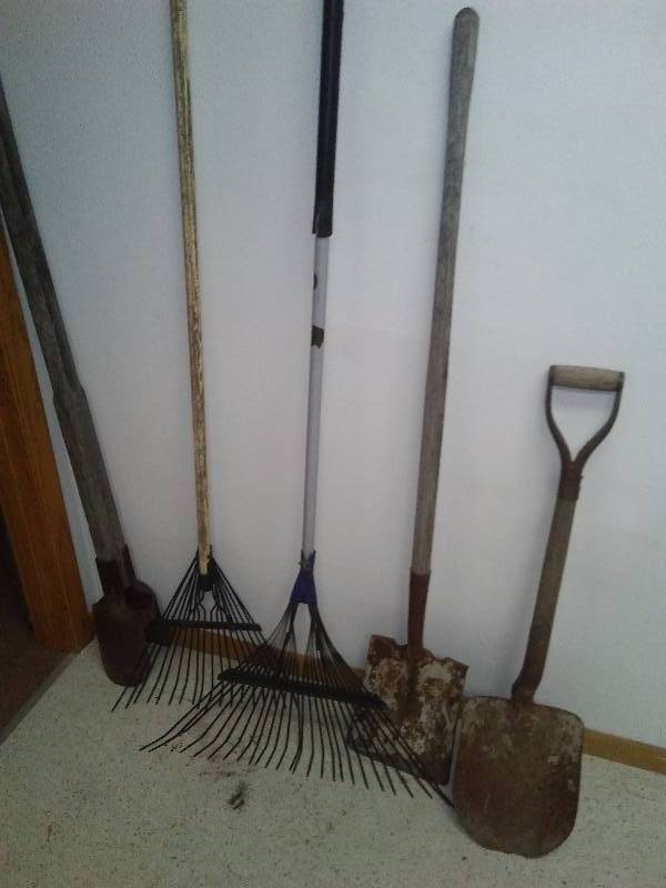 lot 45 image: Shovels (2) Rakes (2) and a pole hole digger