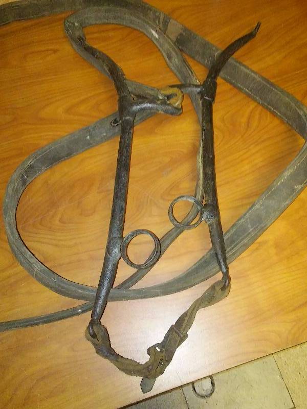 lot 161 image: Cast Hames with 6 ft. Heavy Leathers (1 pr.)