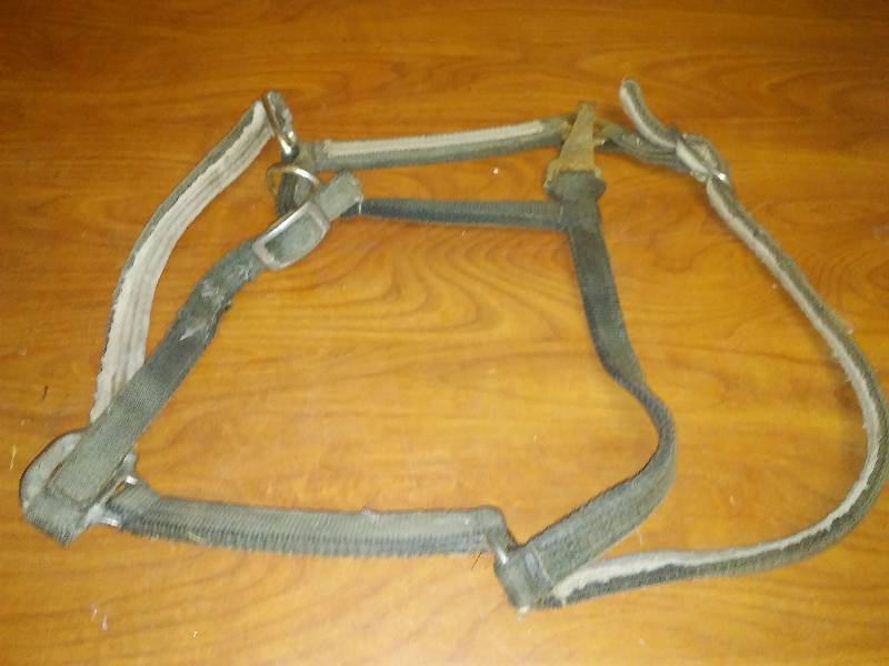 lot 174 image: Horse Harness  Head Gear Headstall