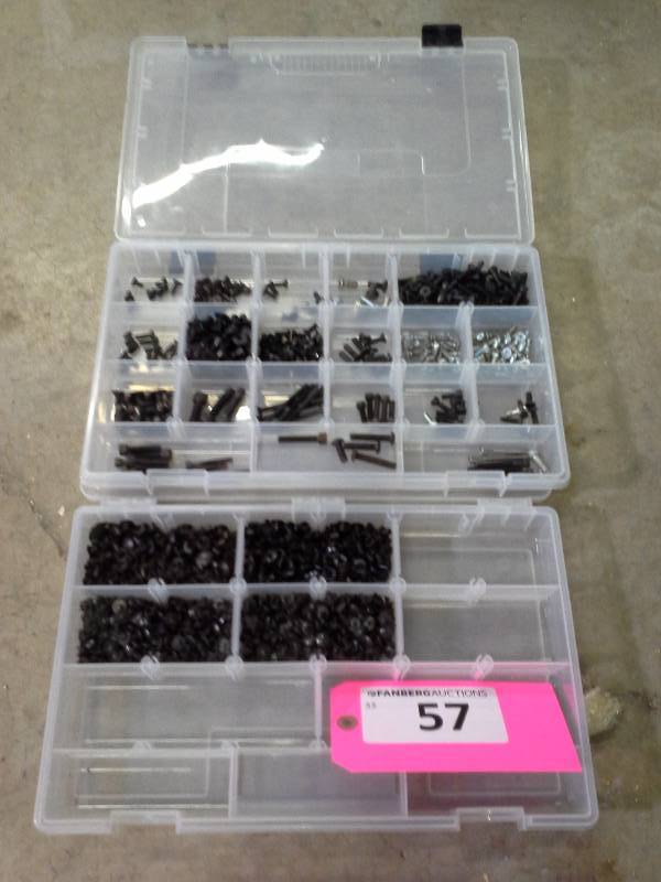 lot 57 image: Assorted Screw Lot