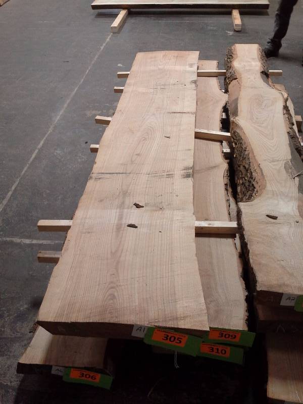 lot 305 image: 8 Live Edge Ash 3 Thick Slab
